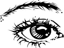 Auge - Augenbrauen