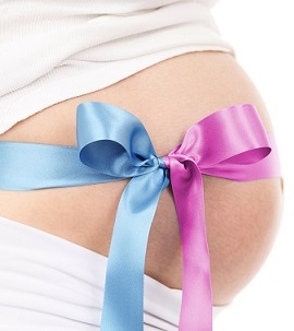 Schwangerer Bauch mit blauer und pinker Schleife